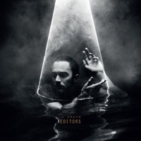 Editors: In Dream (CD)